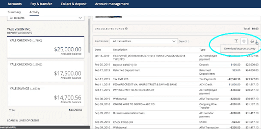 download account activity