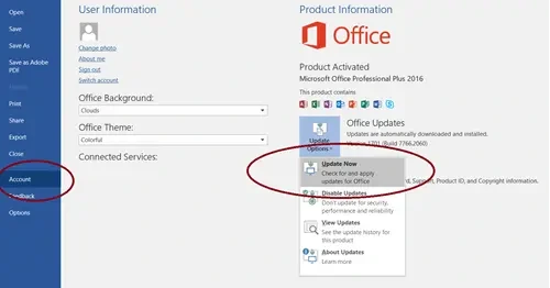 Update MS Office